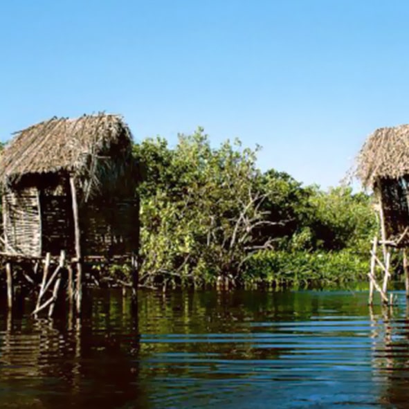 Visitar la Tovara – NAYARIT, MARAVILLAS NATURALES